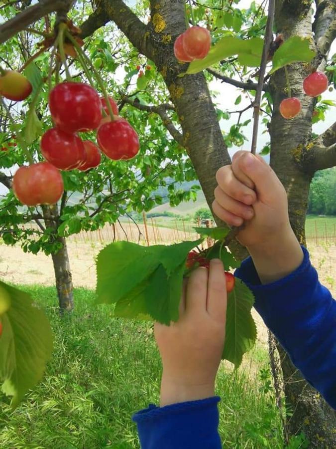 Frühstückspension Cascina Valtignosa Con Vigna *