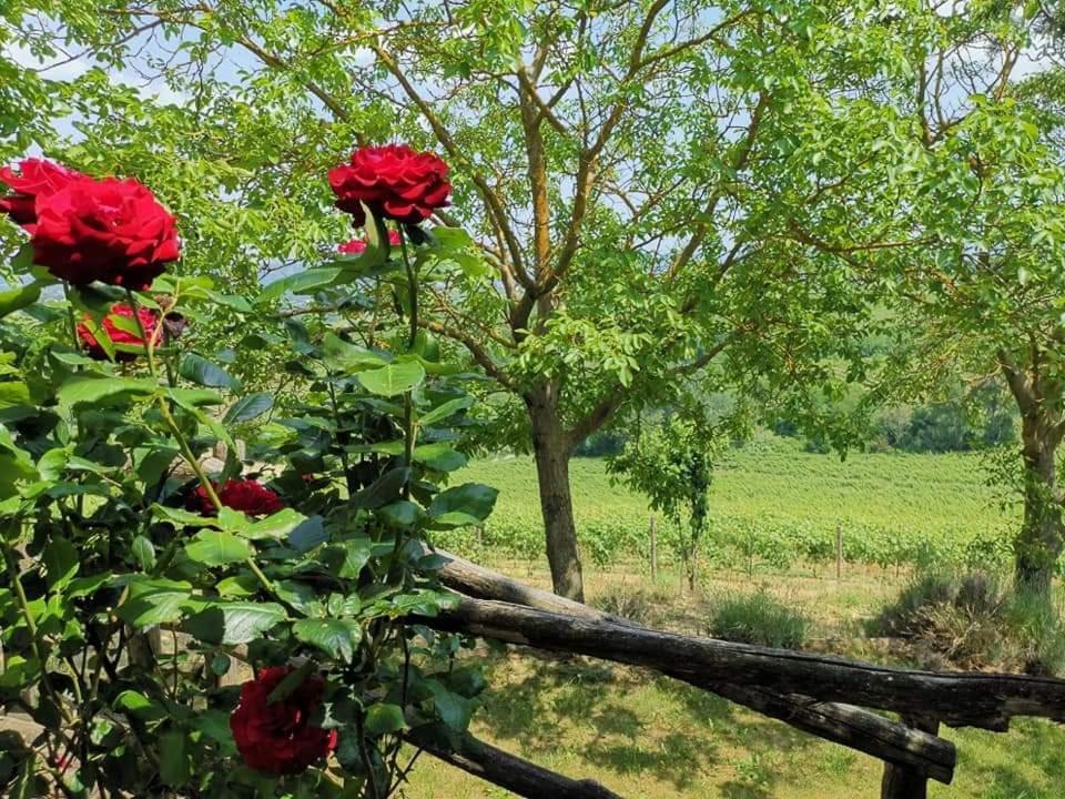 Cascina Valtignosa Con Vigna * Cassine