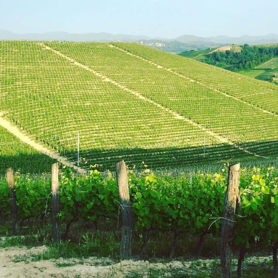 Frühstückspension Cascina Valtignosa Con Vigna Cassine
