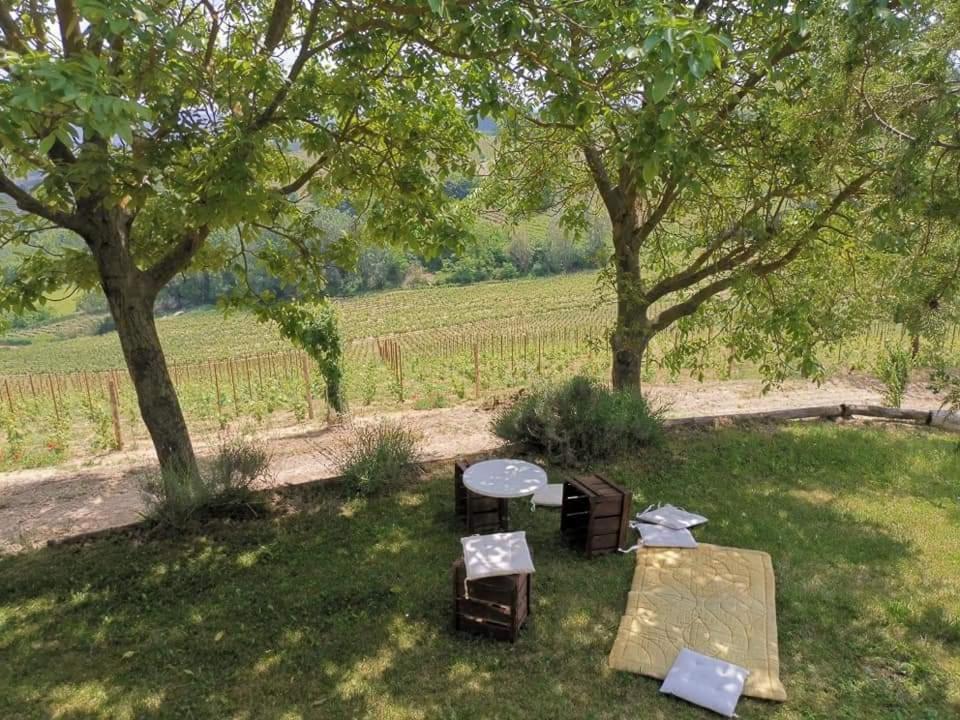 Frühstückspension Cascina Valtignosa Con Vigna