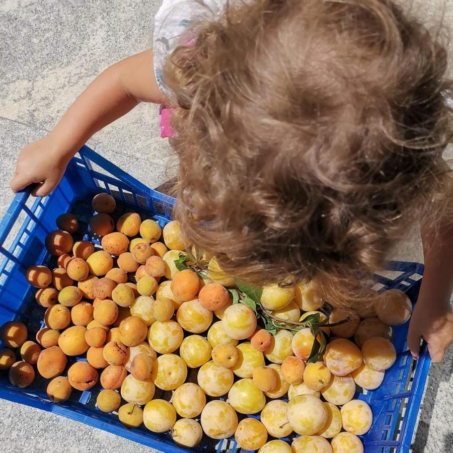 Frühstückspension Cascina Valtignosa Con Vigna *