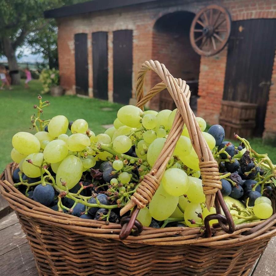 Frühstückspension Cascina Valtignosa Con Vigna
