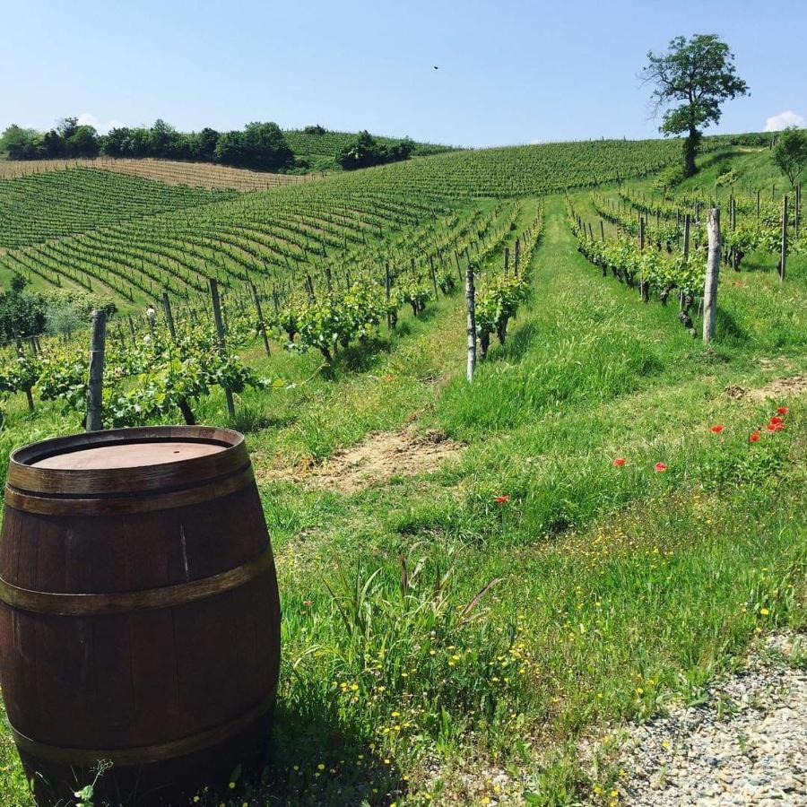 Cascina Valtignosa Con Vigna *